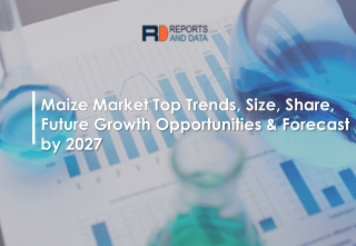 Maize Market Regions, Shares with its types and Applications