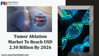 Tumor Ablation Market To Reach USD 2.30 Billion By 2026