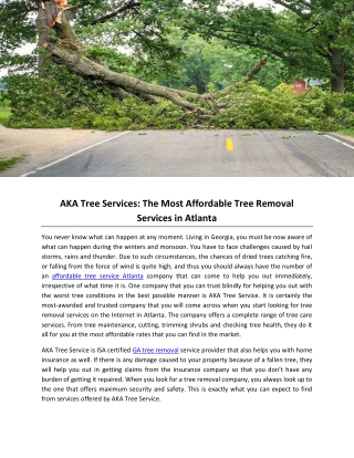 AKA Tree Services: The Most Affordable Tree Removal Services in Atlanta