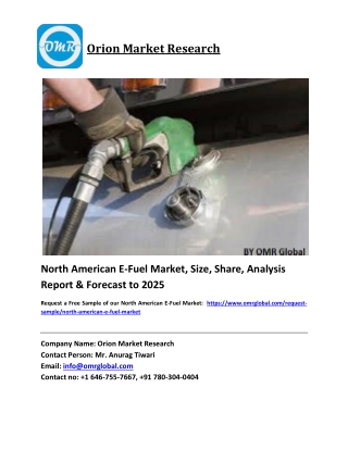 North American E-Fuel Market Growth, Size, Share, Industry Report and Forecast 2019-2025