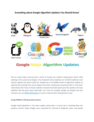 Everything about google algorithm updates you should know