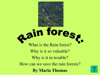 What is the Rain forest? Why is it so valuable? Why is it in trouble? How can we save the rain forests? By Marla Thomas