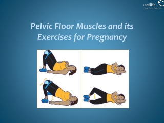 Pelvic Floor Muscles and its Exercises for Pregnancy