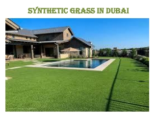 Best Synthetic Grass In Dubai