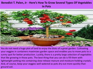 Benedict T. Palen, Jr - Here’s How To Grow Several Types Of Vegetables In Pots