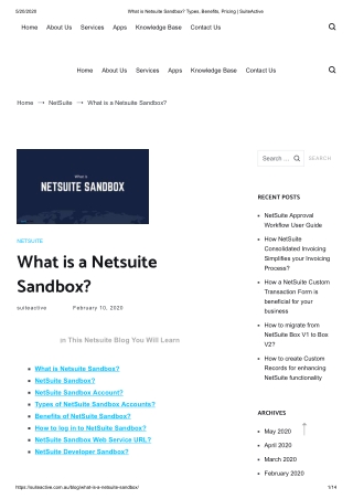 What is a Netsuite Sandbox?