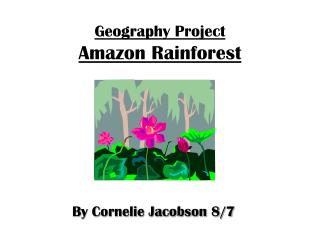 Geography Project Amazon Rainforest