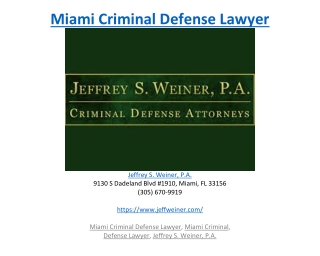 Miami Criminal Defense Lawyer