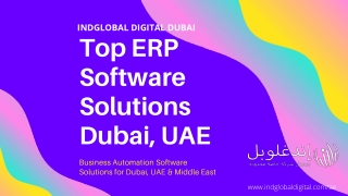 ERP Software Solutions Dubai, UAE