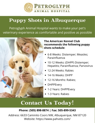 Puppy Shots | Petroglyph Animal Hospital