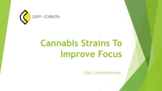 Cannabis strains to improve focus