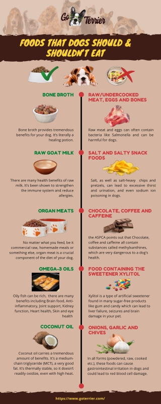 Foods that dogs should eat and should not eat