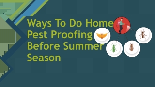 Ways To Do Home Pest Proofing Before Summer Season