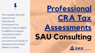 Professional CRA Tax Assessments - SAU Consulting