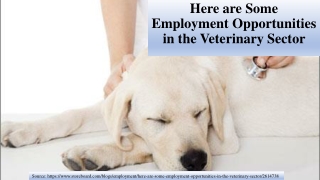 Here are Some Employment Opportunities in the Veterinary Sector