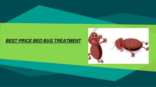 Best price bed bug treatment Chicago