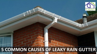 5 Common Causes of Leaky Gutter in Raleigh NC
