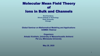 Molecular Mean Field Theory of Ions in Bulk and Channels