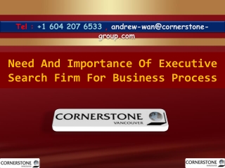 Need and Importance of Executive Search Firm for Business Process