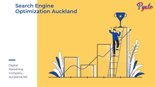 Search Engine Optimization Auckland