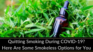 Quitting Smoking During COVID-19? Here Are Some Smokeless Options for You