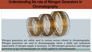 Understanding the role of nitrogen generators in chromatography