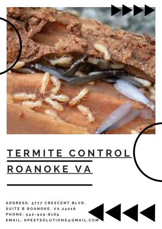 Termite Control Roanoke VA | Killinger Pest Solutions