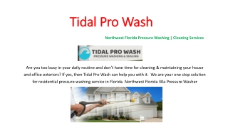 Best Exterior Pressure Washing Florida | Cleaning Services