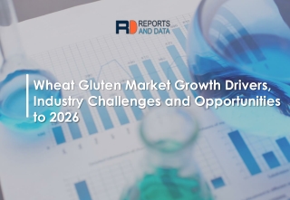 Wheat Gluten Market Latest Trends, Consumption ratio and Market Statistics 2019-2026