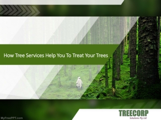 How Tree Services Help You To Treat Your Trees