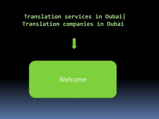 Get the best & High-Quality French Translation In Dubai