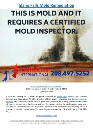 Idaho Falls Mold Remediation
