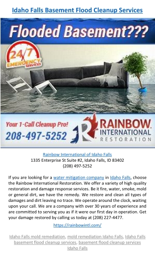 Idaho Falls Basement Flood Cleanup Services