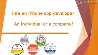 Hire an iPhone app developer: An individual or a company?