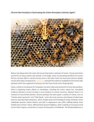 Chronic Bee Paralysis is Destroying the Entire Honeybee Colonies Again!