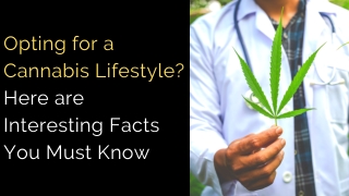 Opting for a Cannabis Lifestyle? Here are Interesting Facts You Must Know