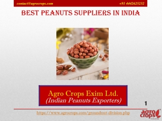 Best Peanuts Suppliers In India