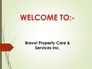 Find the best Lawn Care Service in Arva