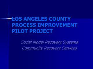 LOS ANGELES COUNTY PROCESS IMPROVEMENT PILOT PROJECT