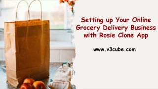 Setting up Your Online Grocery Delivery Business with Rosie Clone App