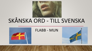 Skånska ord till svenska