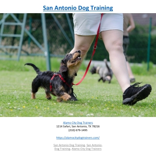 San Antonio Dog Training