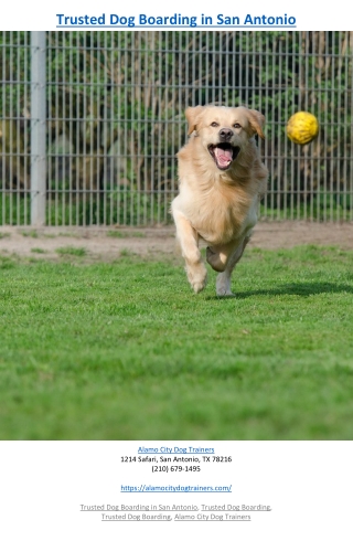 Trusted Dog Boarding in San Antonio