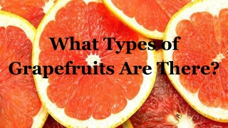 What Types of Grapefruits Are There?