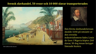 Svensk slavhandel