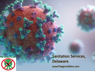 Sanitation Services, Delaware - Thegermkillers.com