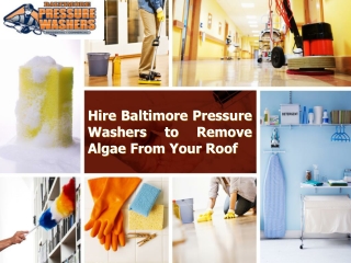 Hire Baltimore Pressure Washers to Remove Algae From Your Roof