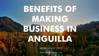 Benefits of Making Business in Anguilla | Buy & Sell Business