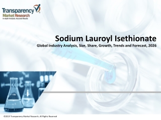 Sodium Lauroyl Isethionate Market Sales, Share, Growth and Forecast 2026
