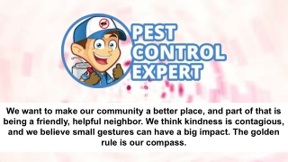 Affordable Pest Control Services